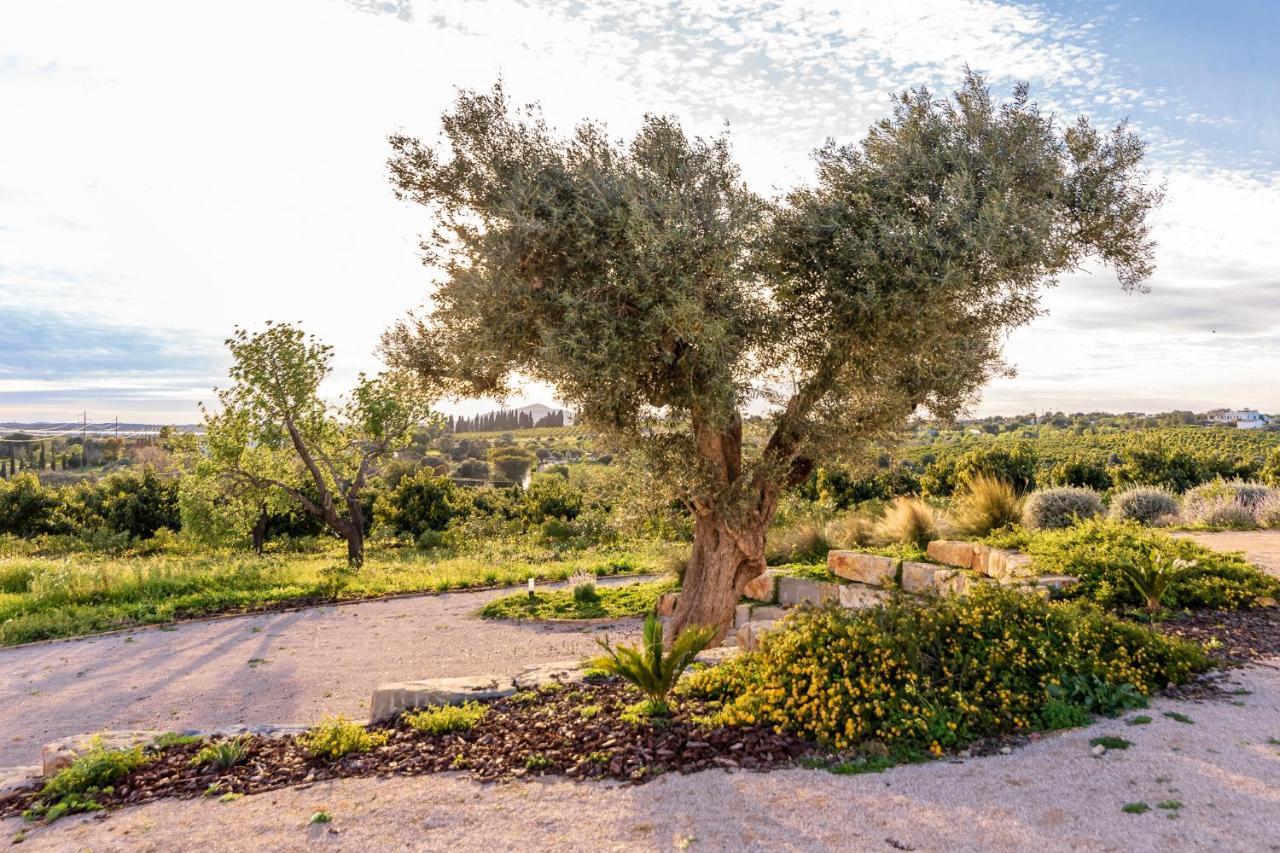 Villa Quinta Da Baleeira à Tavira Extérieur photo