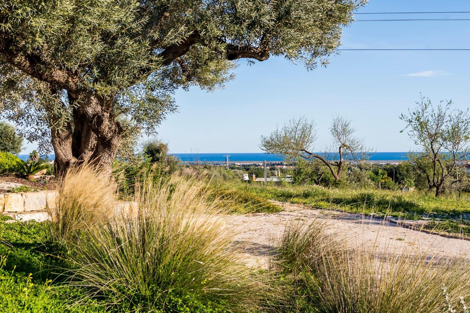 Villa Quinta Da Baleeira à Tavira Extérieur photo